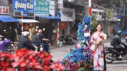 Hơn 100 Cột đèn 'nở hoa' giữa trung tâm Hà Nội