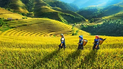 Thị trường du lịch 30-4, 1-5: Nhiều khuyến mại, giảm giá để hút khách