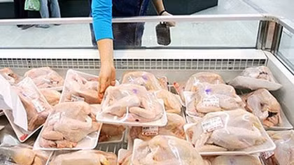 Xem xét kiến nghị áp thuế chống bán phá giá đối với gà nhập khẩu