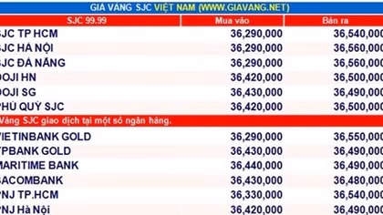 Giá vàng hôm nay 26-8: Tiếp tục lùi nhẹ