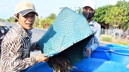 Xử lý mạnh tay với nạn tùy tiện khoan giếng lấy nước nuôi tôm