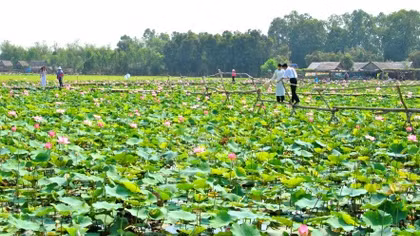 Bừng lên “ngọn lửa” khởi nghiệp: Cái “tâm” từ chính quyền
