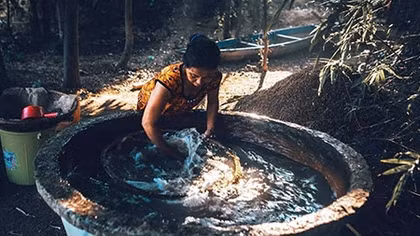 Mùa hến về bên bến sông quê
