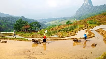 Gió rừng đồi Thung