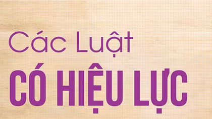 Sáu luật có hiệu lực thi hành từ ngày 1-7-2019