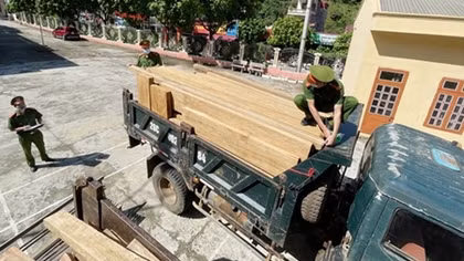  Liên tiếp bắt giữ các vụ vận chuyển số lượng lớn lâm sản trái phép