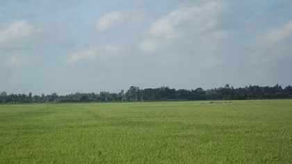 Công an vào cuộc vụ Chủ tịch Hội nông dân “mất tích” bí ẩn