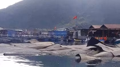 Hỏa hoạn thiêu rụi nhà hàng bè nổi và tàu cá ở vịnh biển Vũng Rô