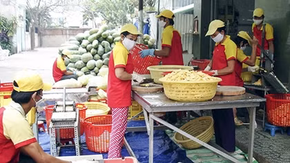 Phát triển kinh tế tư nhân trở thành một động lực quan trọng của nền kinh tế thị trường định hướng XHCN