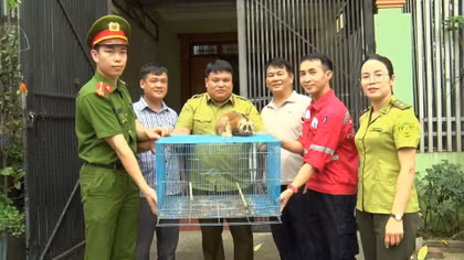  Quyết liệt ngăn chặn khai thác thủy sản tận diệt, săn bắt chim hoang dã