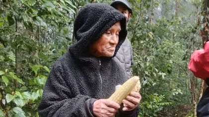 Cụ ông 78 tuổi tiết lộ “bí kíp” sống sót 6 ngày lạc trong rừng mưa