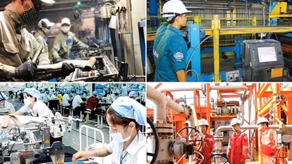 9 tháng cuối năm phải cổ phần hoá 30 doanh nghiệp