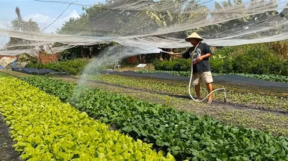 Nhiều quỹ tài chính nhà nước ngoài ngân sách hoạt động chưa hiệu quả