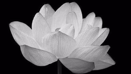 Đại tá Ma Khánh Bào từ trần