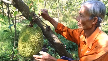 Tình trạng di cư vẫn là thách thức lớn đối với ĐBSCL