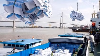 Kiến nghị cấp nhãn hiệu chứng nhận Gạo Việt Nam/Vietnam Rice cho doanh nghiệp xuất khẩu gạo