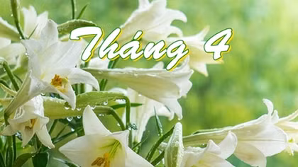 Tháng tư