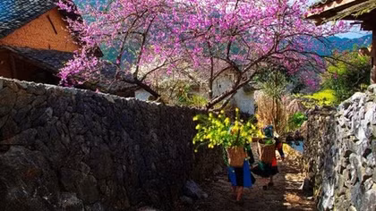 Ta như Nguyên đán của nhau