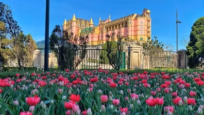 Hàng nghìn du khách đón Tết Bính Ngọ cùng hơn triệu bông tulip tại Sun World Ba Na Hills