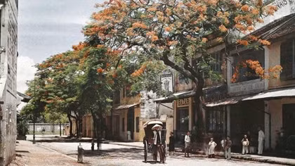 Ngày xuân đến phố Bát Đàn mua hàng Bát Sứ