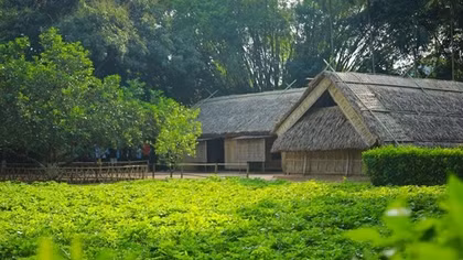 Ngày Bác trở về