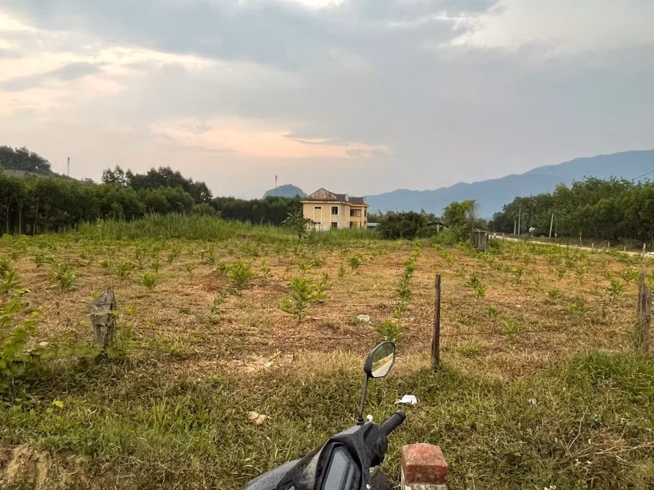 du-an5.jpg
