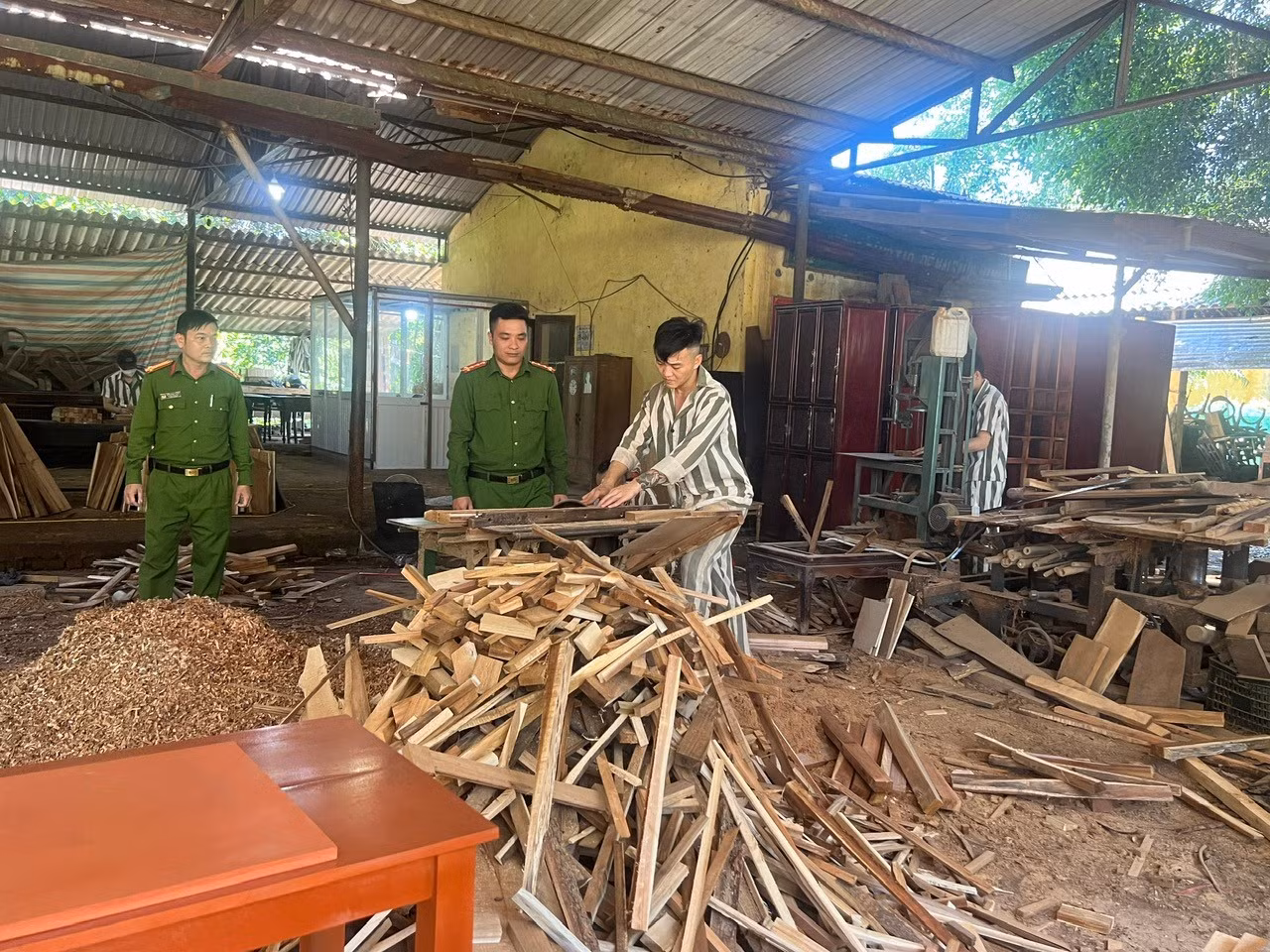 bd7.jpg