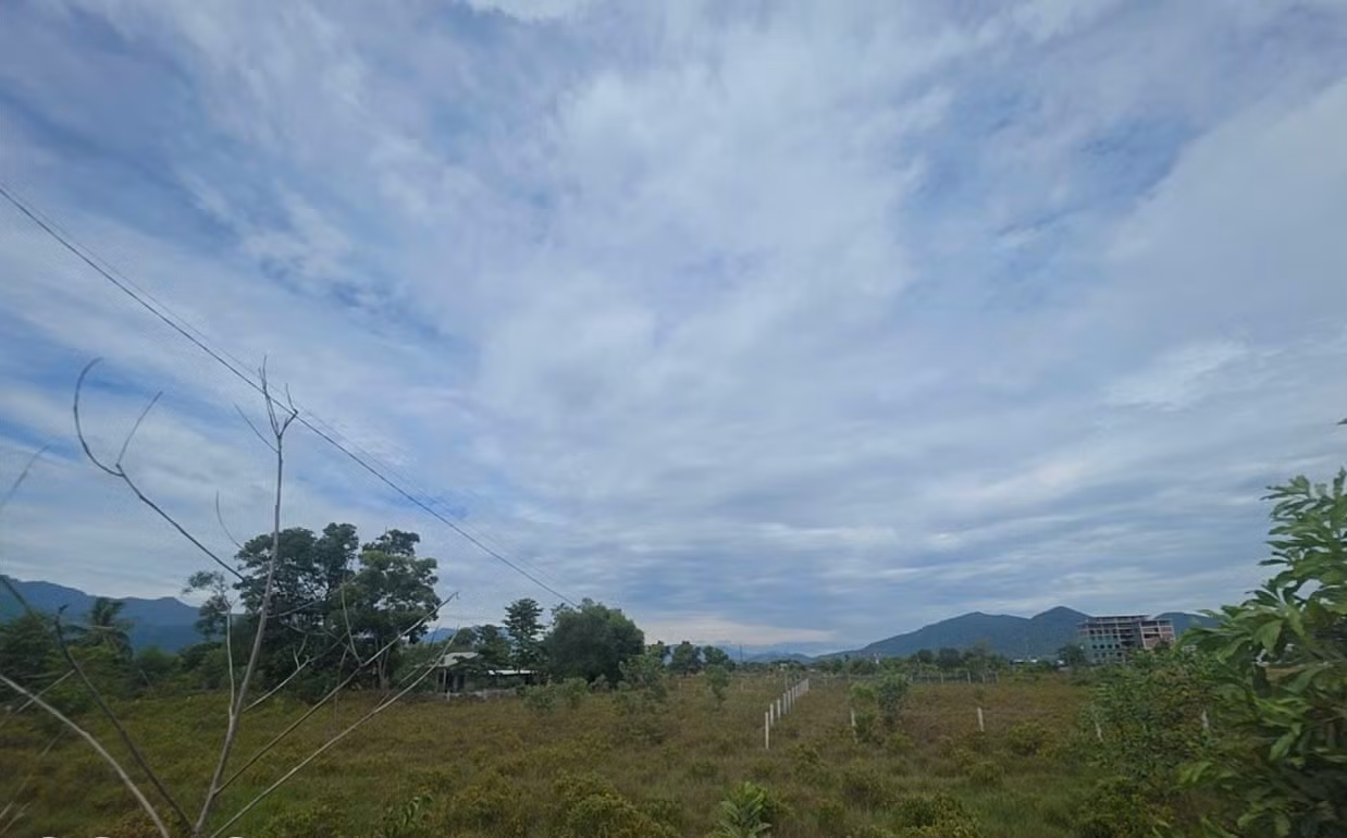 trai-phep5.jpg