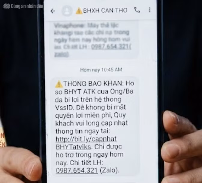 cand_tl_baohiem.png