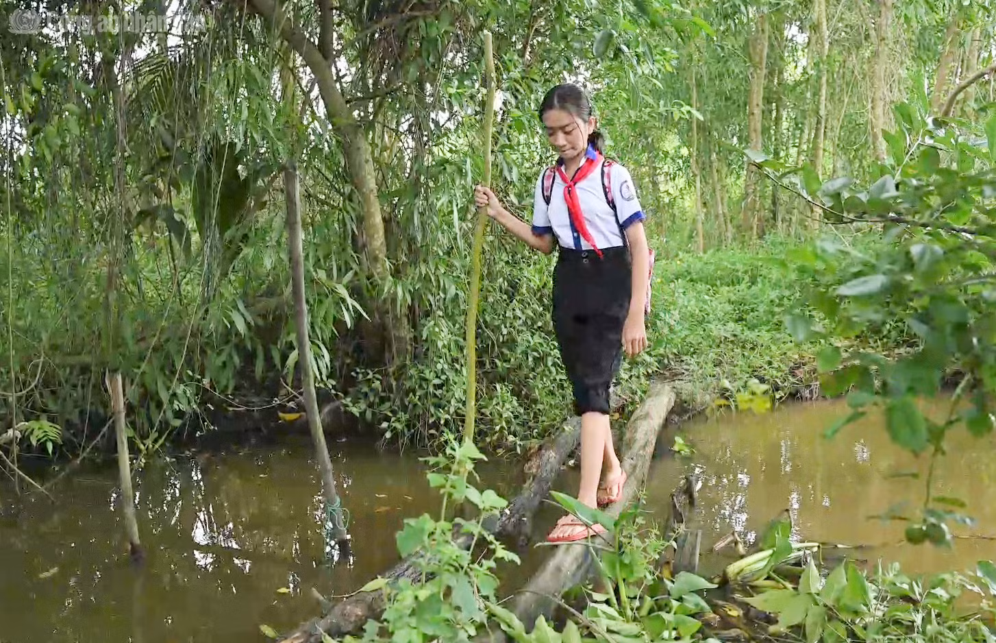 cand_tl_anh.png