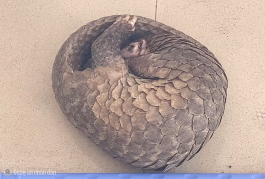 cand_bl_anh5.jpg