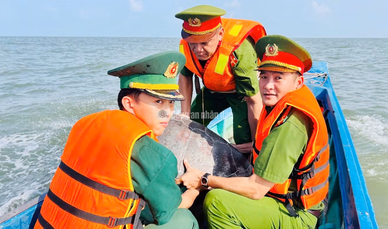 cand_c_anh1.jpg