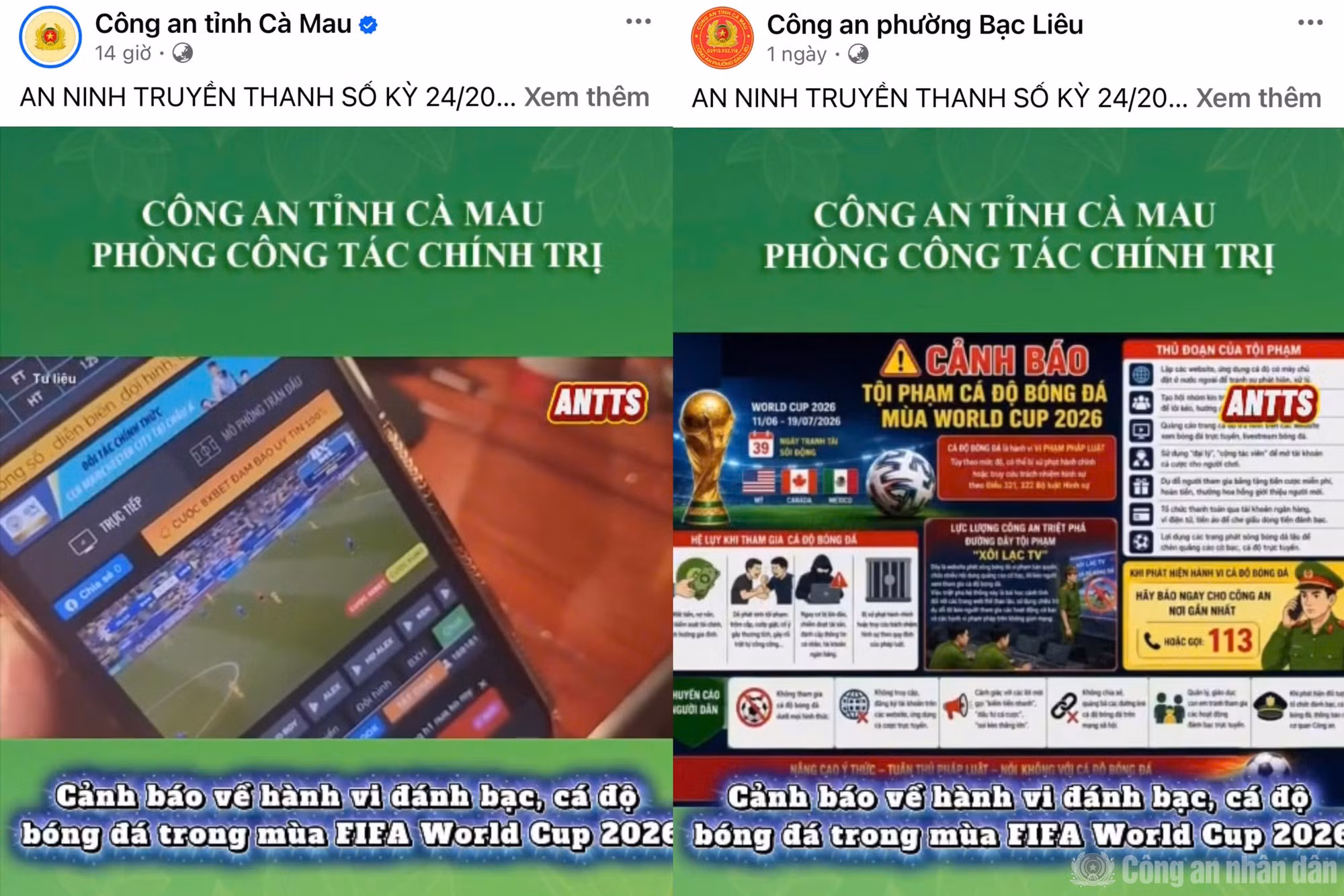 cand_br_anh-4.jpg