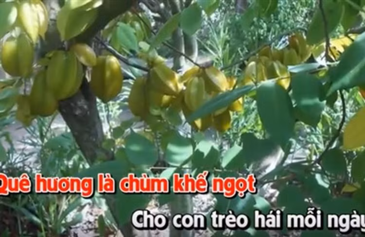 Kiều bào ta ở nước ngoài luôn một lòng hướng về quê nhà. Nhớ quê, yêu quê, họ thành tâm đóng góp xây dựng quê hương
