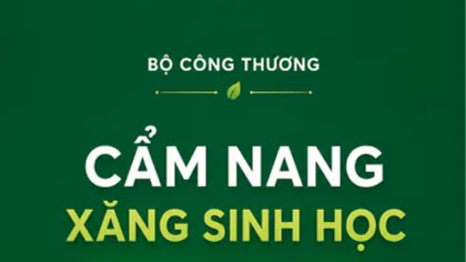 Cẩm nang sử dụng xăng sinh học E10