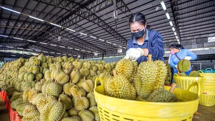 Tạo thuận lợi tối đa thông quan hàng nông sản xuất khẩu