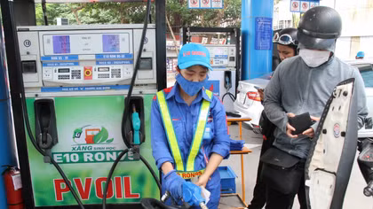 Hầu hết các dòng xe đời mới đều tương thích tốt với xăng E10