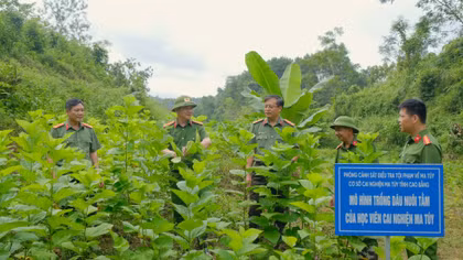 Đối tượng Ong Thế Văn cùng tang vật bị bắt giữ. Ảnh: BĐBP tỉnh Cao Bằng