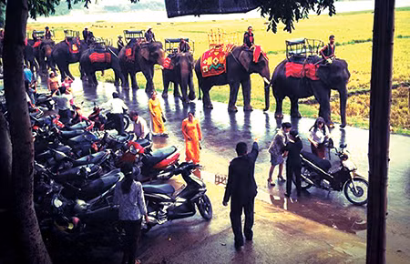 Trên lưng mỗi chú voi đều phủ một tấm vải thổ cẩm mang đặc trưng dân tộc M'nông.
