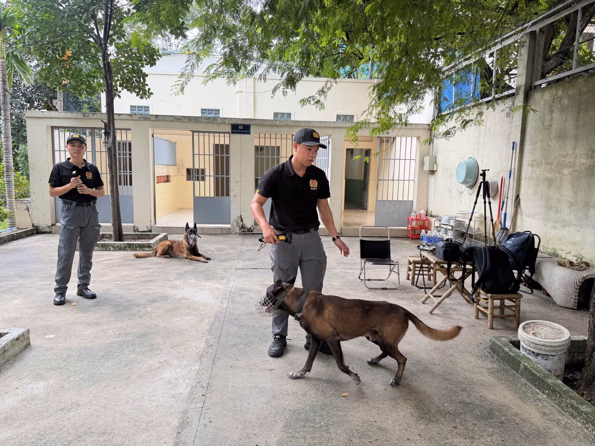 Chuyện “rèn binh” chó nghiệp vụ của Cảnh vệ miền Nam ảnh 7