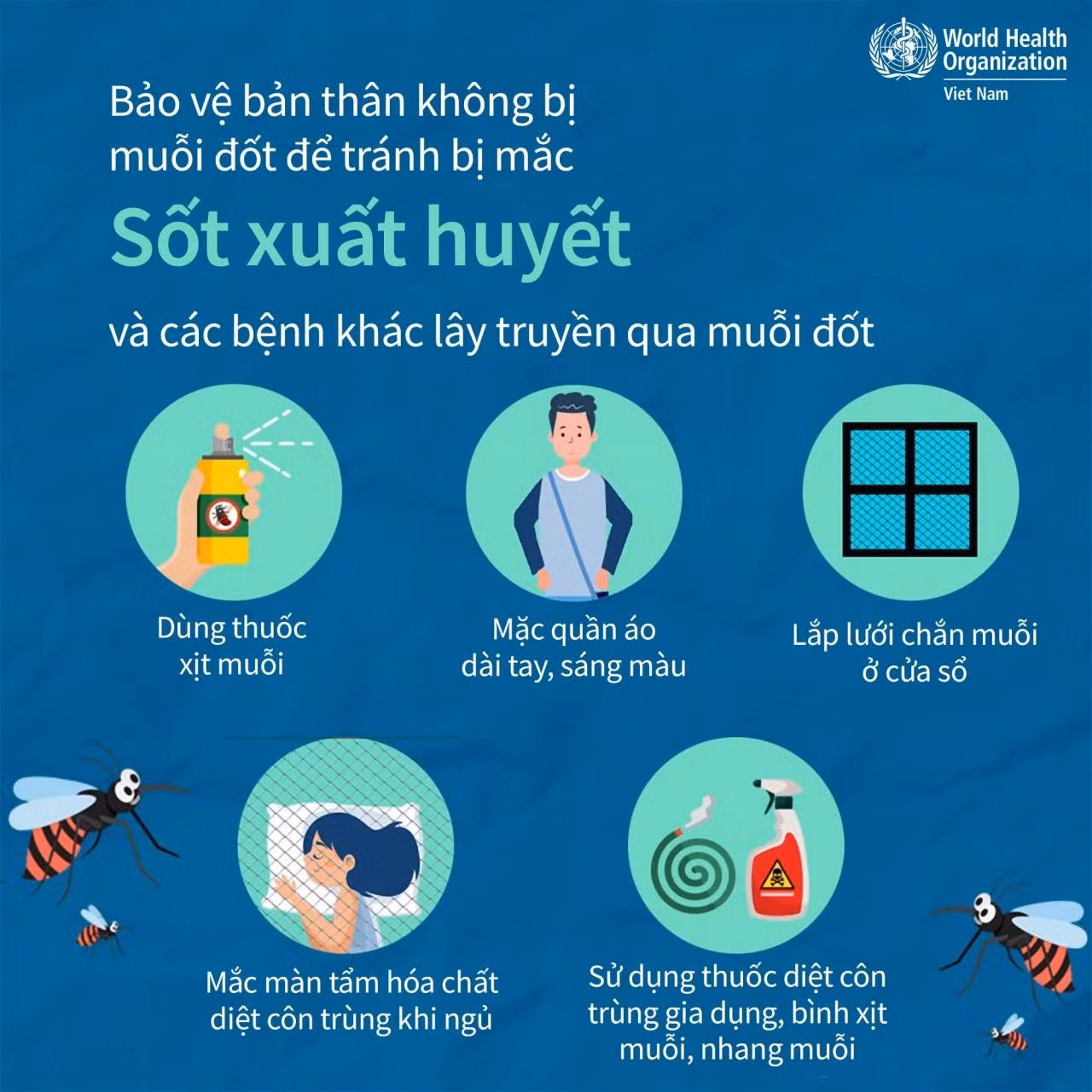 phong-tranh-sot-xuat-huyet.jpg