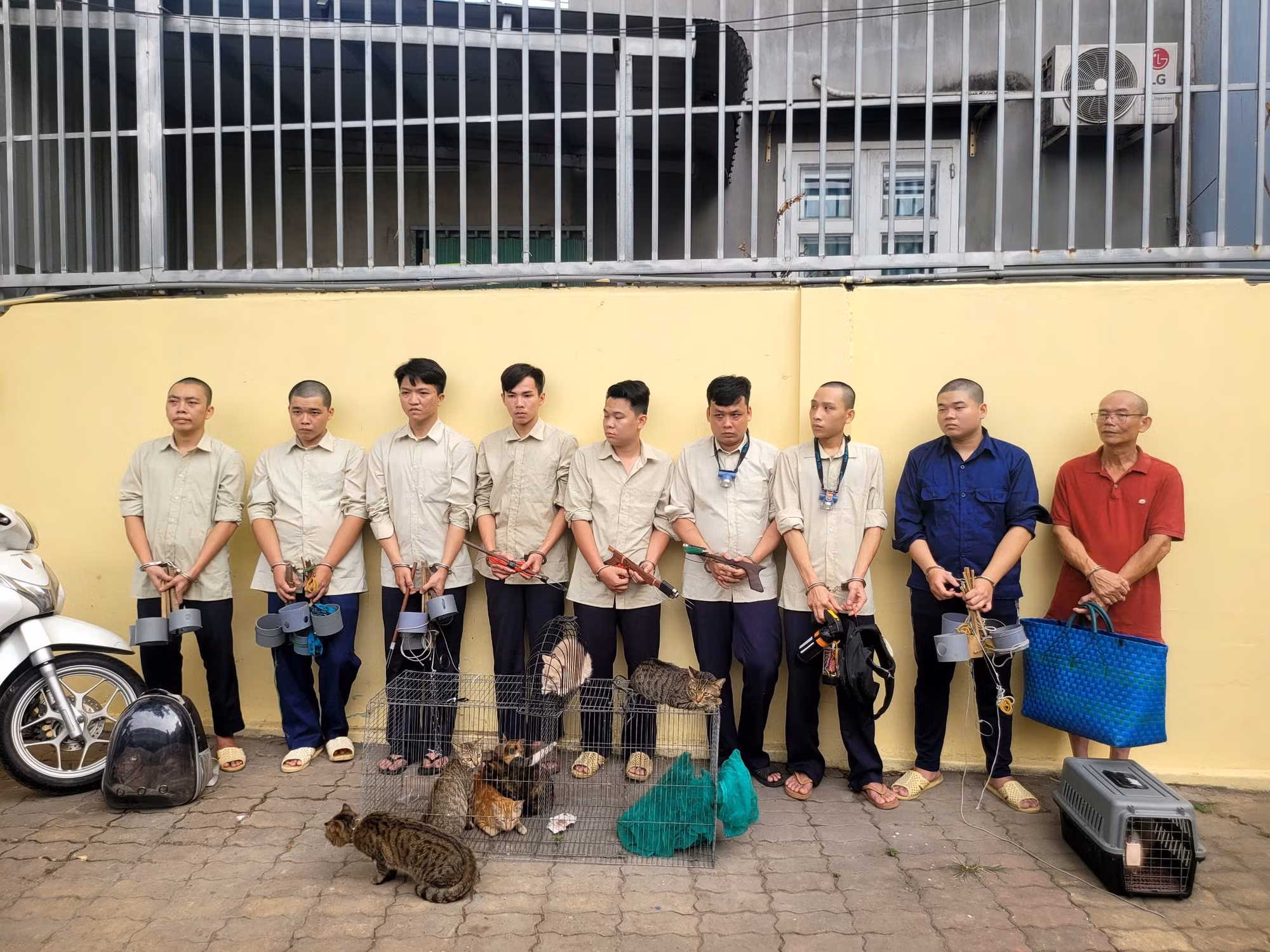 Công an xã Đông Thạnh triệt phá nhóm đối tượng có hành vi chuyên trộm mèo với số lượng lớn để bán, thu lợi bất chính.
