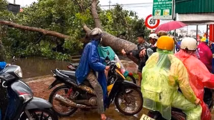 Nam thanh niên bị cây đè tử vong trong cơn dông lốc