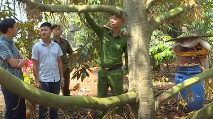 Công an xã Krông Pắk giúp đỡ người lầm lỡ làm lại cuộc đời