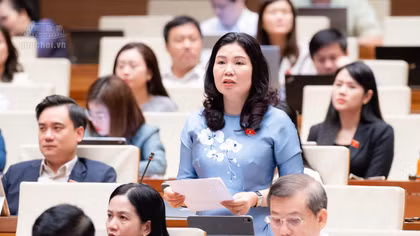 Đại biểu Quốc hội nêu lãng phí nguồn lực vì có độ trễ trong thực thi chính sách