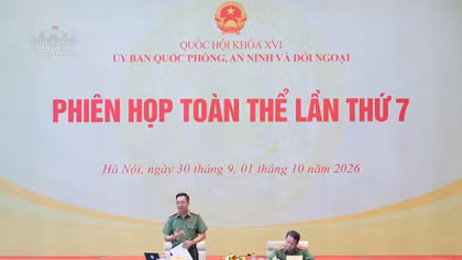 Thẩm tra 2 luật về quản lý vũ khí và phòng cháy chữa cháy