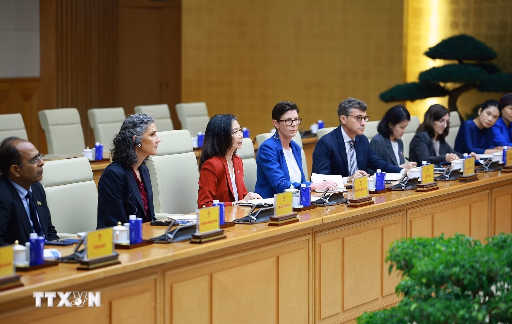 Bà Pauline Tamesis, Điều phối viên Thường trú Liên hợp quốc tại Việt Nam và Trưởng đại diện các tổ chức Liên hợp quốc tại Việt Nam tham dự buổi tiếp.