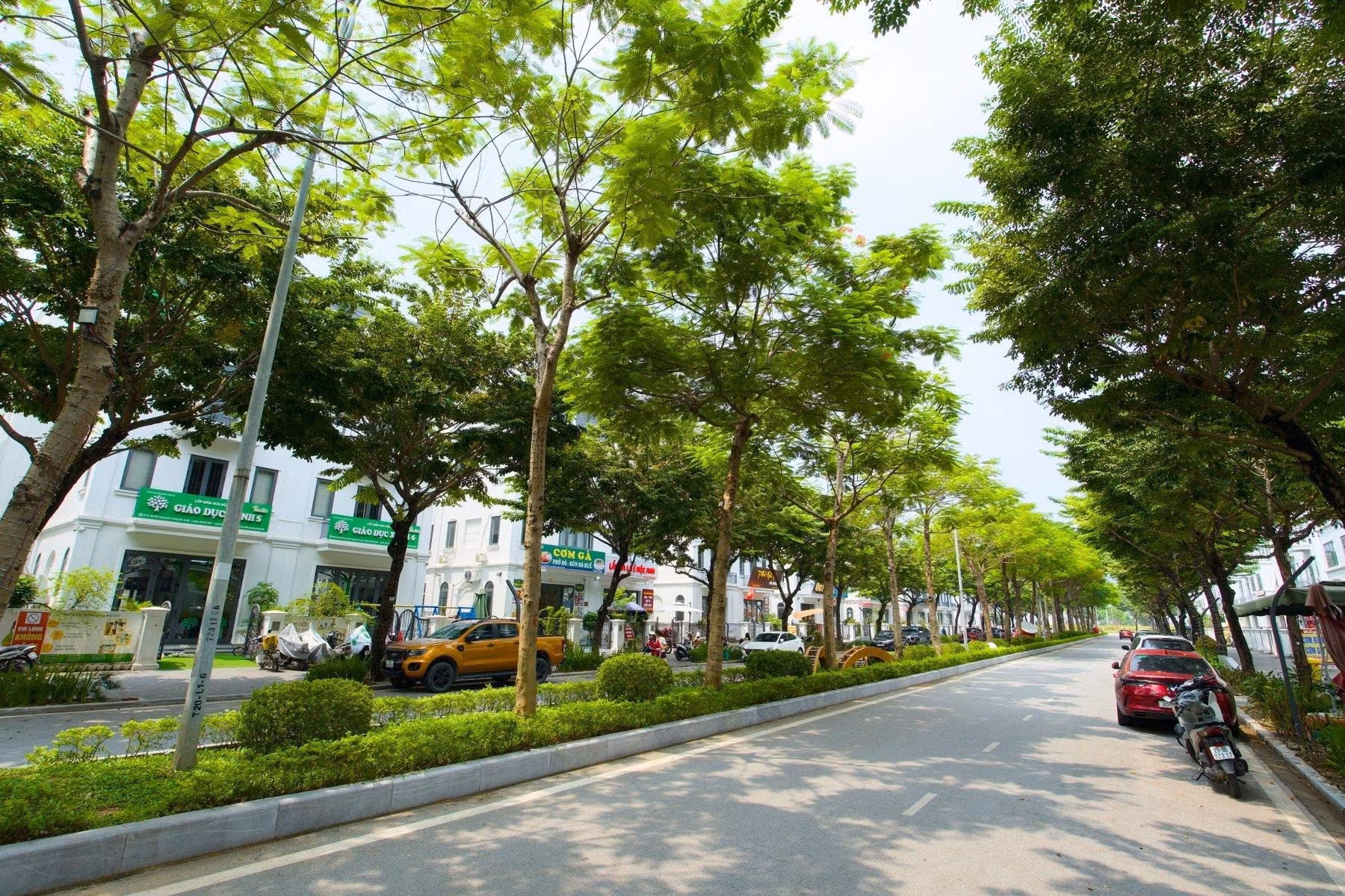 Những con phố rợp bóng cây tại Solasta Mansion, nơi nhịp sống riêng tư song hành cùng giao thương sầm uất.